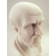 Hippocrates of Kos Greek Art Statue The Father Of Medicine