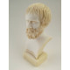 Aristotle Greek Philosopher Scientist Alabaster Bust Head Statue Sculpture 7.5''