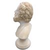 Homer Greek Poet Author Greek Art Statue - Image 6